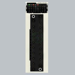 کارت ورودی – خروجی دیجیتال BMXDDM1602k اشنایدر الکتریک