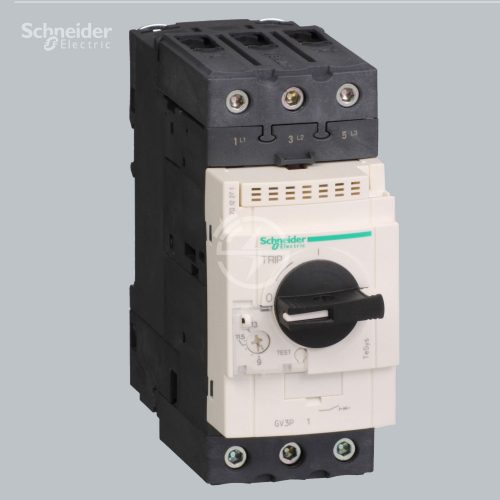 Schneider Electric Motor circuit breaker GV3P13