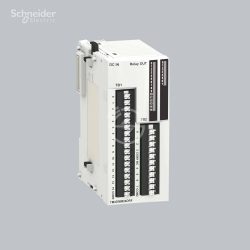 Schneider Electric Discrete I/O module TM2DMM24DRF
