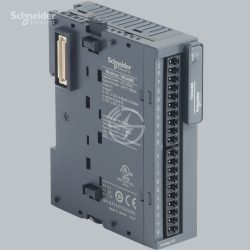 Schneider Electric Input/output Analog module TM3AM6