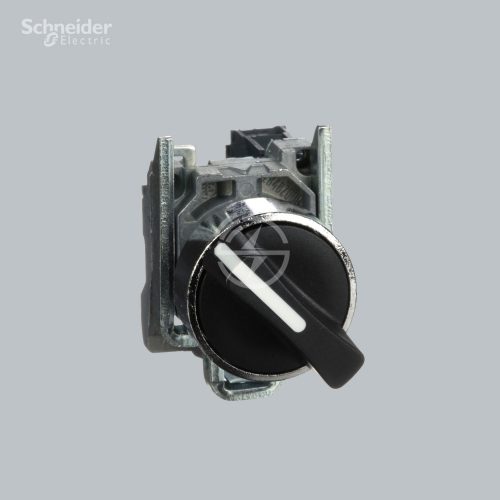Schneider Electric Selector switch XB4BD21