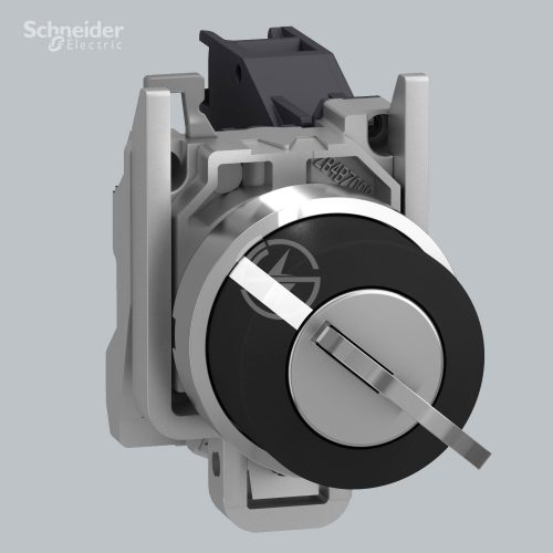 Schneider Electric Selector switch XB4BG21