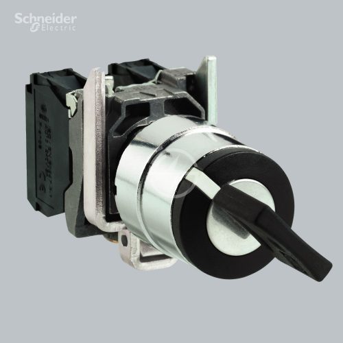 Schneider Electric Selector switch XB4BG61