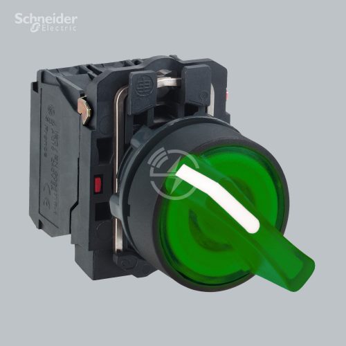 Schneider Electric Illuminated Selector switch XB5AK123B1N