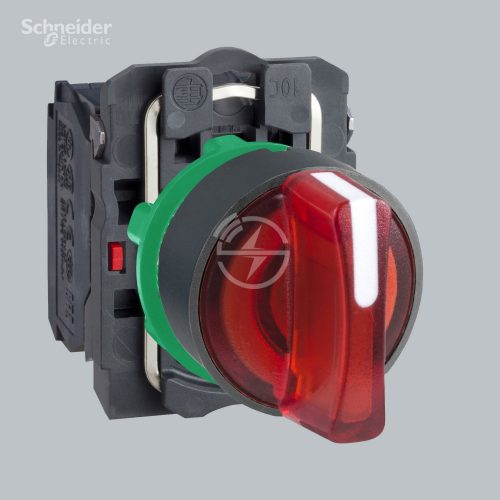 Schneider Electric Illuminated Selector switch XB5AK134B5N
