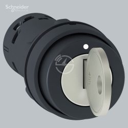 Schneider Electric Selector switch XB7NG33