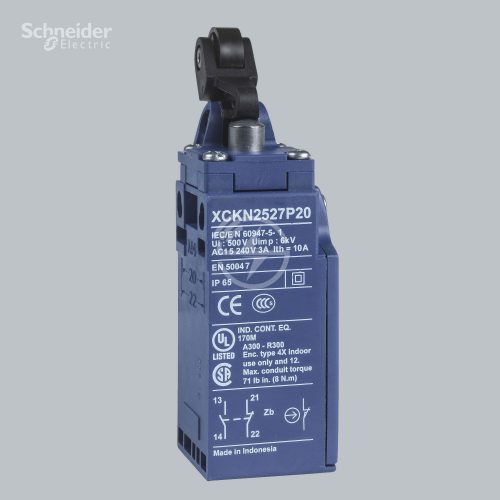 Schneider Electric Limit switch XCKN2127P20