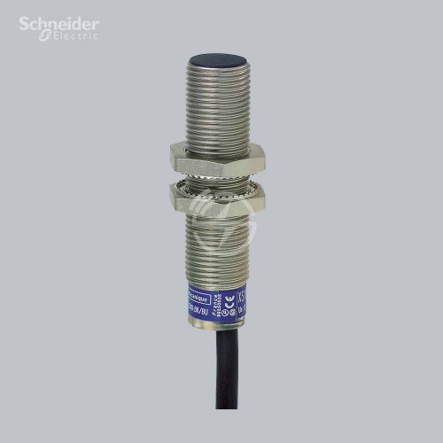 Schneider Electric Inductive sensor XS612B1PAL2