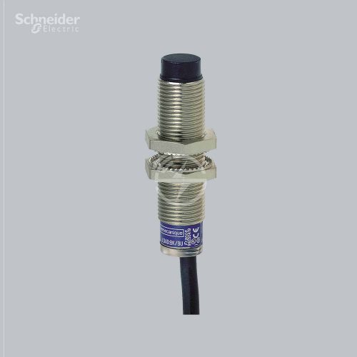 Schneider Electric Inductive sensor XS612B4PAL2