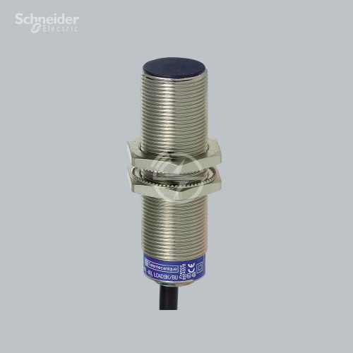 Schneider Electric Inductive sensor XS618B1DBL2